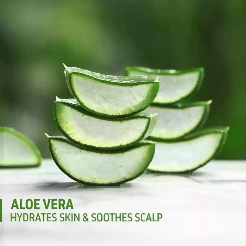 Aloe Vera: The Ultimate Skin Soother and Hydrator