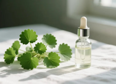 Madecassoside: The Active Compound Behind Cica's Healing Power